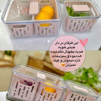 ظرف ترشی دنزی